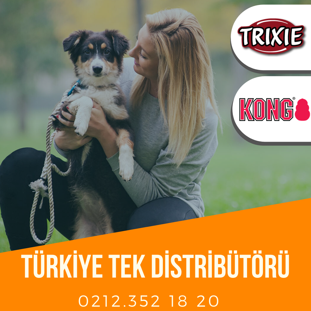 Kong Köpek Oyuncak, ZoomGroom Tarak, Pembe 11cm · Köpek Tarakları ve