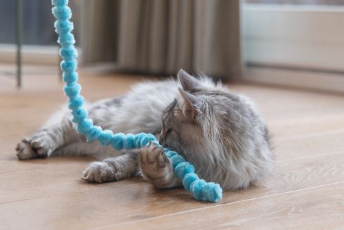 Beeztees Kedi Oltası, Peluş Toplar