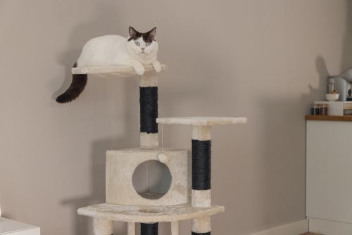 Beeztees Kedi Tırmalama ve Oyun Evi, Krem, 50x50x123cm