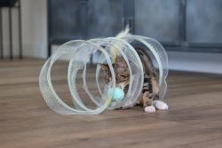 Beeztees Yavru Kedi Tüneli, Spiral Şeklinde, 60x25x25cm - Thumbnail