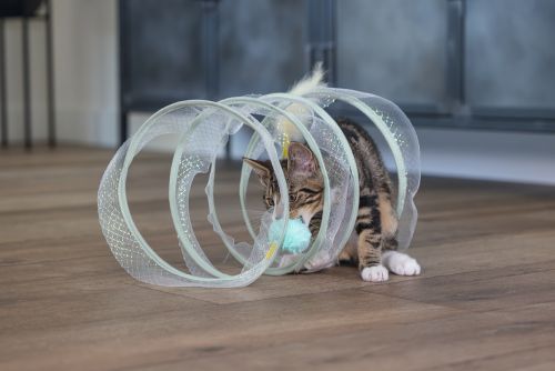 Beeztees Yavru Kedi Tüneli, Spiral Şeklinde, 60x25x25cm