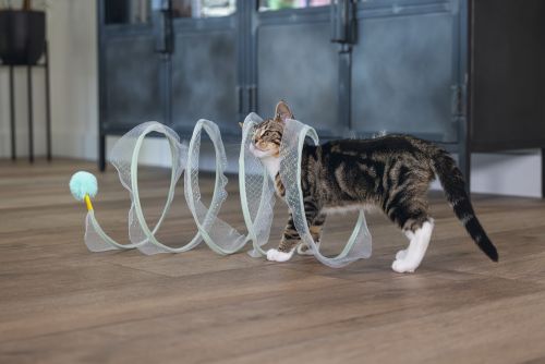 Beeztees Yavru Kedi Tüneli, Spiral Şeklinde, 60x25x25cm