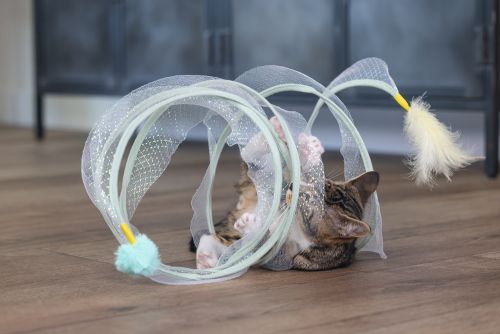 Beeztees Yavru Kedi Tüneli, Spiral Şeklinde, 60x25x25cm