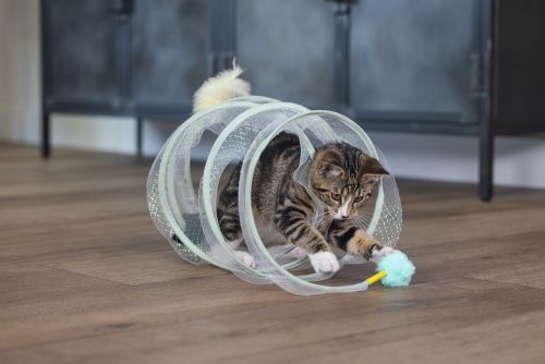 Beeztees Yavru Kedi Tüneli, Spiral Şeklinde, 60x25x25cm