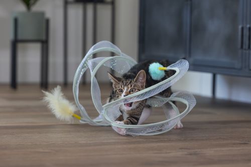 Beeztees Yavru Kedi Tüneli, Spiral Şeklinde, 60x25x25cm