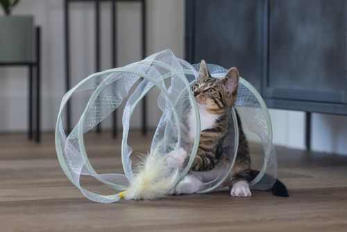 Beeztees Yavru Kedi Tüneli, Spiral Şeklinde, 60x25x25cm