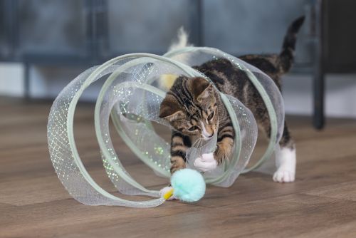 Beeztees Yavru Kedi Tüneli, Spiral Şeklinde, 60x25x25cm