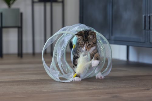 Beeztees Yavru Kedi Tüneli, Spiral Şeklinde, 60x25x25cm