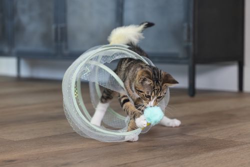 Beeztees Yavru Kedi Tüneli, Spiral Şeklinde, 60x25x25cm