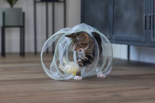 Beeztees Yavru Kedi Tüneli, Spiral Şeklinde, 60x25x25cm