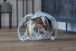 Beeztees Yavru Kedi Tüneli, Spiral Şeklinde, 60x25x25cm - Thumbnail