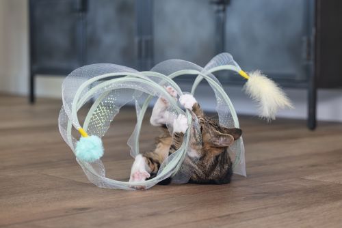 Beeztees Yavru Kedi Tüneli, Spiral Şeklinde, 60x25x25cm