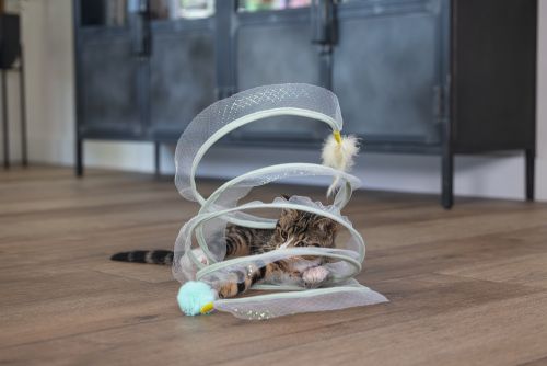 Beeztees Yavru Kedi Tüneli, Spiral Şeklinde, 60x25x25cm