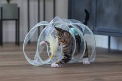 Beeztees Yavru Kedi Tüneli, Spiral Şeklinde, 60x25x25cm - Thumbnail