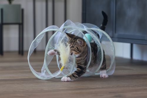 Beeztees Yavru Kedi Tüneli, Spiral Şeklinde, 60x25x25cm