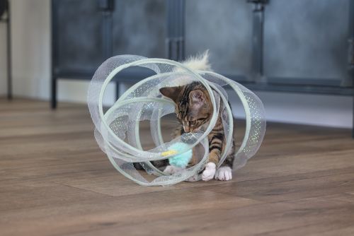 Beeztees Yavru Kedi Tüneli, Spiral Şeklinde, 60x25x25cm