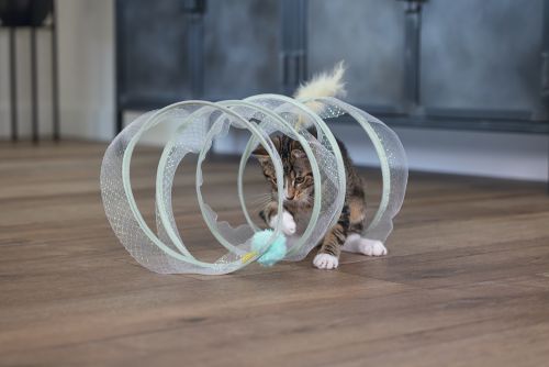 Beeztees Yavru Kedi Tüneli, Spiral Şeklinde, 60x25x25cm