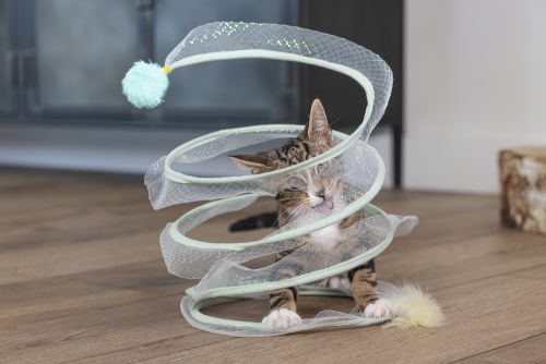 Beeztees Yavru Kedi Tüneli, Spiral Şeklinde, 60x25x25cm