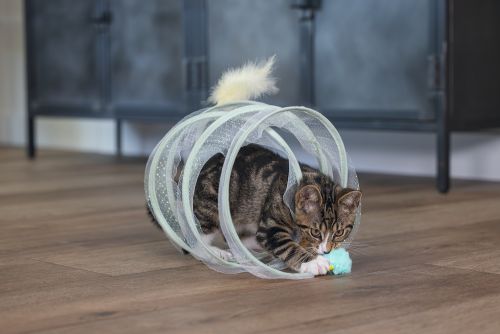 Beeztees Yavru Kedi Tüneli, Spiral Şeklinde, 60x25x25cm