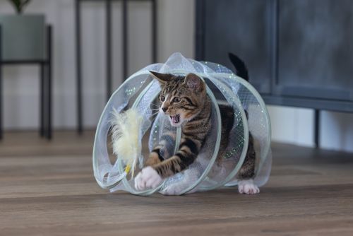 Beeztees Yavru Kedi Tüneli, Spiral Şeklinde, 60x25x25cm