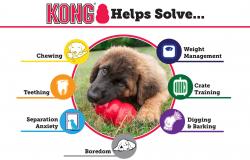 Kong Puppy Büyük Irk Yavru Köpek Oyuncağı 10cm - Thumbnail