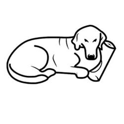 Pet Comfort Alpha Mirandus 20 Kedi ve Köpek Yatağı 50x60cm - Thumbnail
