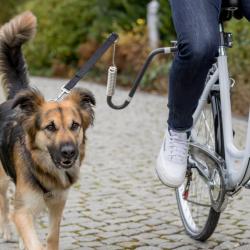 Trixie - Trixie Bisiklet İçin Köpek Yürütme Aparatı U Şeklinde M-XL Köpek Irkları İçin