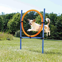 Trixie - Trixie Köpek Agility Eğitim Çemberi 115×3cm 65cm