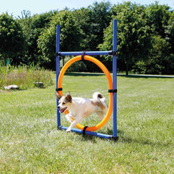 Trixie Köpek Agility Eğitim Çemberi 115×3cm 65cm - Thumbnail