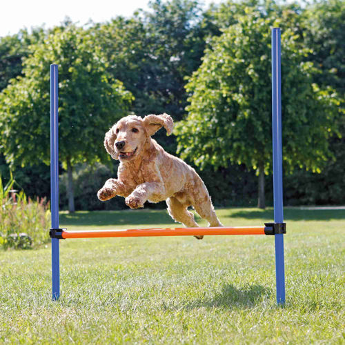 Trixie Köpek Agility Eğitim Manisi 129×115×3cm