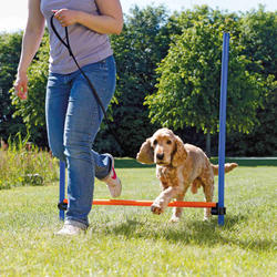 Trixie Köpek Agility Eğitim Manisi 129×115×3cm - Thumbnail