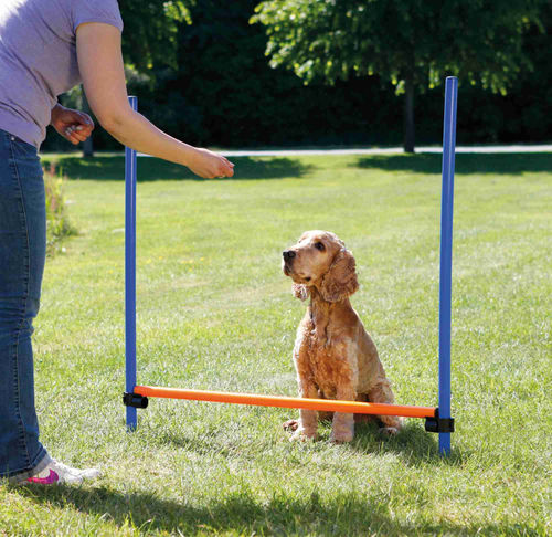 Trixie Köpek Agility Eğitim Manisi 129×115×3cm