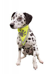 Trixie Köpek Bandanası L-XL 42-60cm - Thumbnail