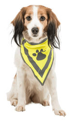 Trixie Köpek Bandanası L-XL 42-60cm - Thumbnail