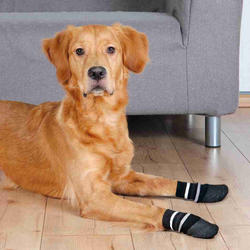 Trixie - Trixie Köpek Çorabı, Kaymaz, L-XL, 2 Adet, Siyah