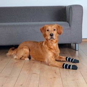 Trixie Köpek Çorabı Kaymaz M-L 2 Adet