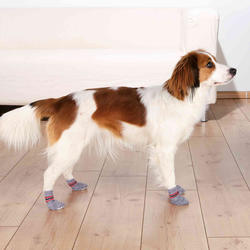 Trixie Köpek Çorabı Kaydırmaz 2 Adet XL 2 Adet Gri - Thumbnail