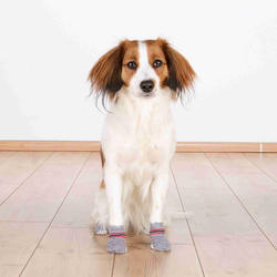 Trixie Köpek Çorabı Kaydırmaz 2 Adet XL 2 Adet Gri - Thumbnail