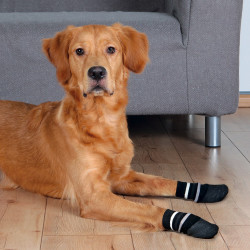 Trixie - Trixie Köpek Çorabı, Kaymaz, XL, 2 Adet, Siyah