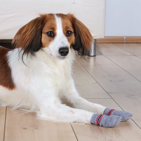 Trixie Köpek Çorabı Kaydırmaz 2 Adet Xxs-Xs Yorkshire Terrier