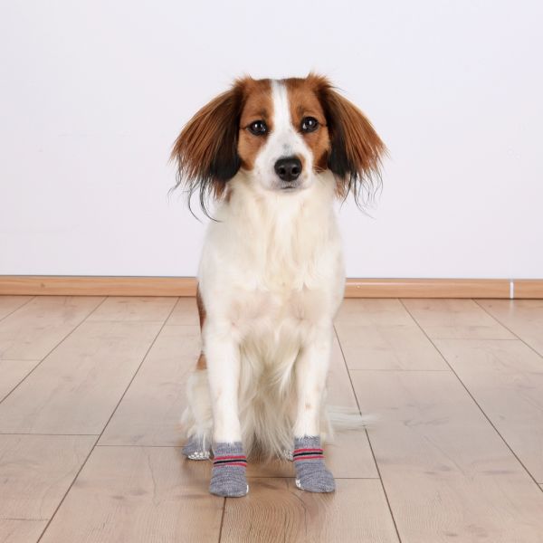 Trixie Köpek Çorabı Kaydırmaz 2 Adet Xxs-Xs Yorkshire Terrier