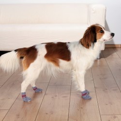 Trixie Köpek Çorabı Kaydırmaz 2 Adet Xxs-Xs Yorkshire Terrier - Thumbnail