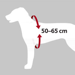 Trixie Köpek Emniyet Kemeri ve Göğüs Tasması 50-65cm 20mm Siyah M - Thumbnail
