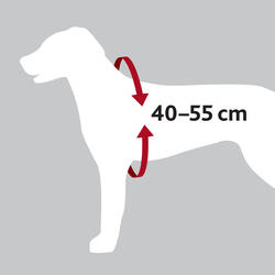 Trixie Köpek Emniyet Kemeri ve Göğüs Tasması 40-55cm 17mm Siyah S-M - Thumbnail