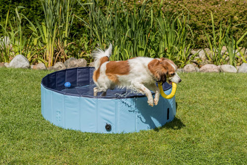 Trixie Köpek Havuzu Çap 80cm Derinlik 20cm