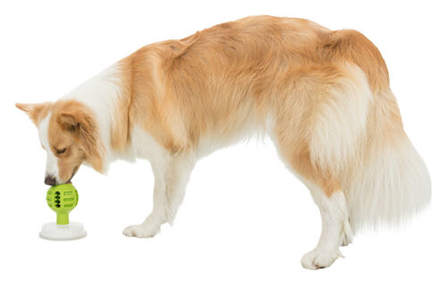Trixie Köpek Ödül Maması Oyuncağı Sabitlenebilir TPE-ABS 8-12cmx13cm