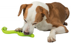 Trixie - Trixie Köpek Ödül Oyuncağı Yeşil Yılan Tpr 42cm