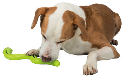 Trixie Köpek Ödül Oyuncağı Yeşil Yılan Tpr 42cm