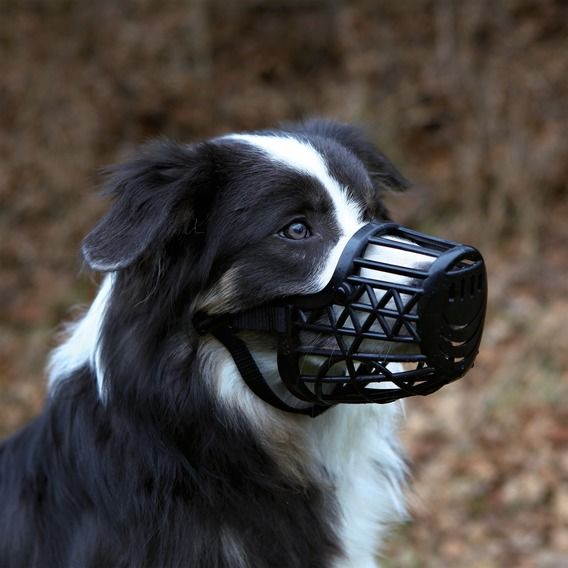 Trixie Plastik Köpek Ağızlığı 17cm S Siyah