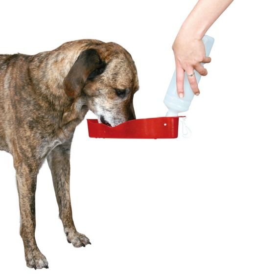 Trixie Köpek Seyahat Su Şişesi 500ml